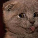 ���� ����, ����-��� - ��������� 6 ������� 2025 � ������ ���� ����������