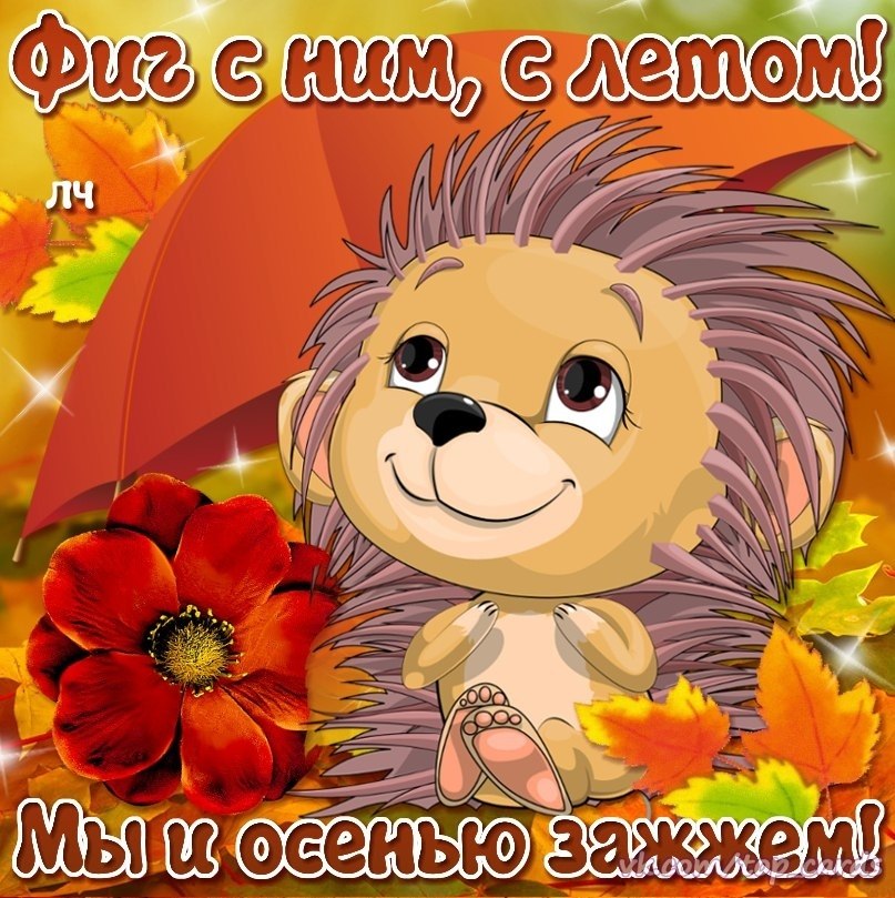   ,    . - 26  2025  21:37 - 3