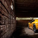 ���� ������, �����-���������, 41 ��� - ��������� 25 ������ 2025 � ������ ���� ����������