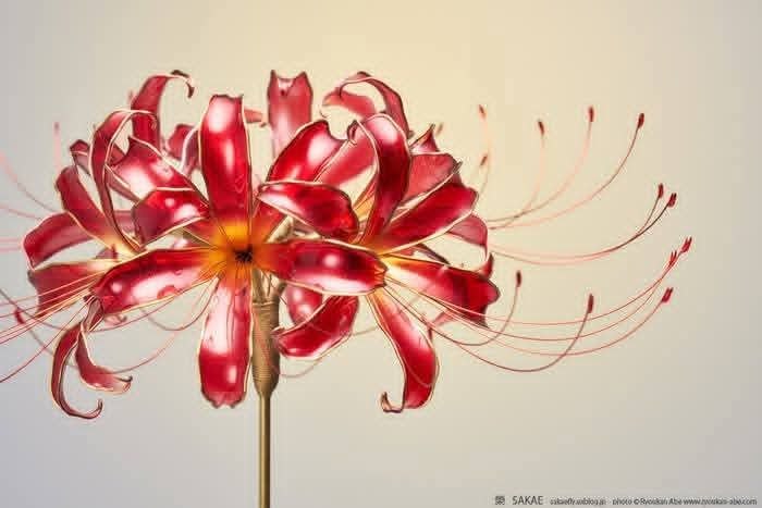 :) �������, ������.������� � �������� ������������ ������� ��������� ��� �����. �� ����� � ������. ... - 4