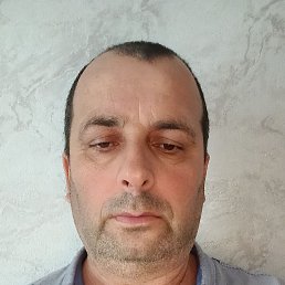 �����, 49 ���, ���������