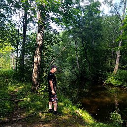 �����, ��������, 43 ����