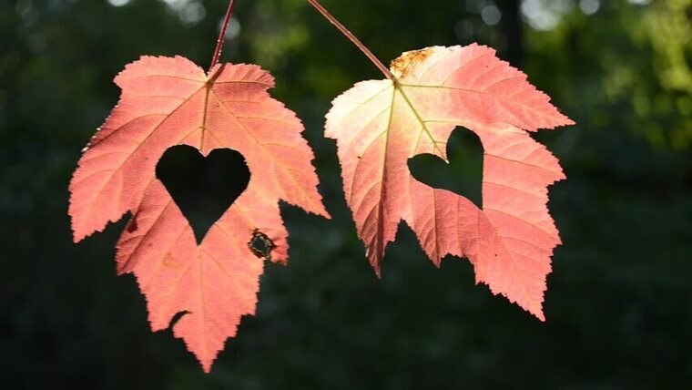 ...  ...    ...    . ..   ...