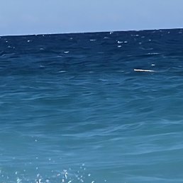 �����, ������, 45 ���