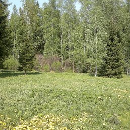 ������, �����-���������, 57 ���