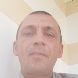 �������, ���������, 41 ���