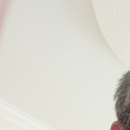 ����, ������-��-����, 56 ���