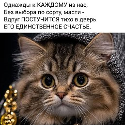 ���� ����� �����, ���������, 50 ��� - ��������� 12 ���� 2025