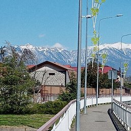 ����������, ������-��-����, 47 ���