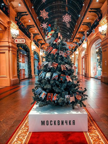 ������ - 6