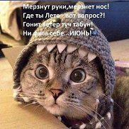 �������, 44 ����, ��������