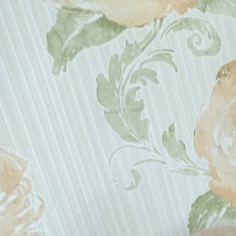 �������, ��������, 34 ����