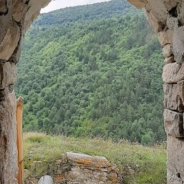 �����, ���������, 52 ����