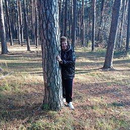 ������, ������, 62 ����