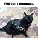 ���� ����, ��������� - ��������� 22 ������� 2025 � ������ ������ ��������