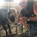 ���� ���, ������ - ��������� 17 ������ 2024 � ������ ���� ����������