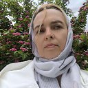 ���� ������, ����������, 54 ���� - ��������� 19 ��� 2025 � ������ ���� ����������