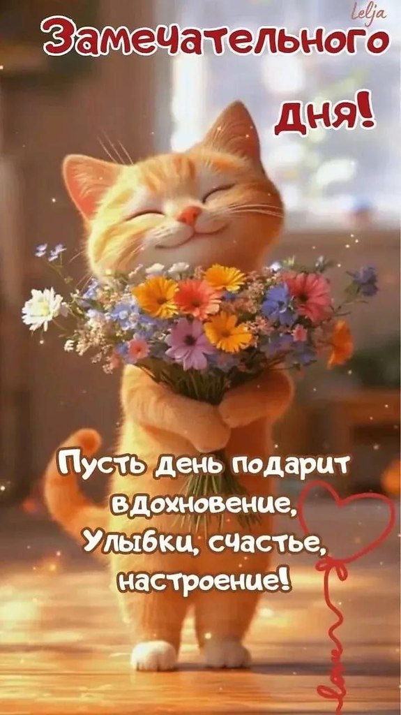 ��� ���� - 9 ���� 2026 � 14:17