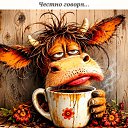 ���� ���� ��������, ������, 72 ���� - ��������� 16 ��� 2026 � ������ ������ ��������