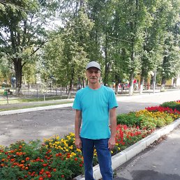 , 61, 