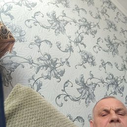 ����, �������������-����������, 56 ���