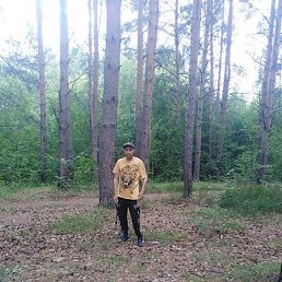 ������, ������, 44 ����