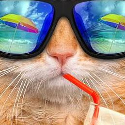 �� �����, ������, 39 ���