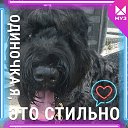 ���� �������, ��������� - ��������� 17 ������ 2026 � ������ ���� ����������