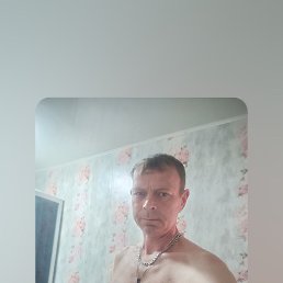 ����, 46 ���, ��������