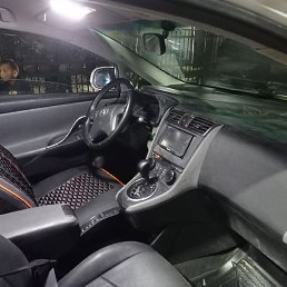 ��������, ������, 41 ���