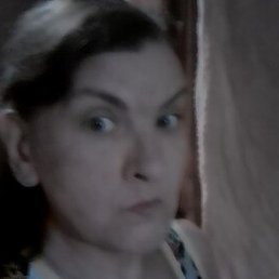 ��������, �������, 51 ���