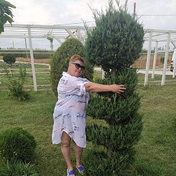 �����, ����-�����������, 58 ���