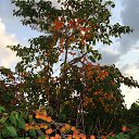 ���� �����, �������� - ��������� 26 ���� 2025 � ������ ������� 2025�