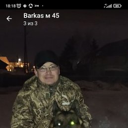 ���� ������, ������, 47 ��� - ��������� 11 ��� 2024