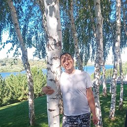 �������, ��������, 38 ���