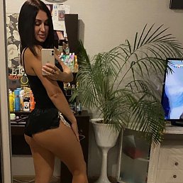 ���� �������, ������, 36 ��� - ��������� 14 �������� 2025