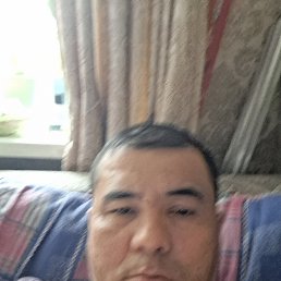 , 40, 
