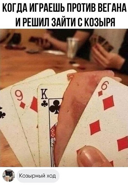 ������ ���� ����� �������� ���������