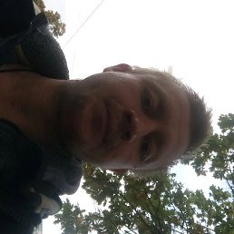 ������, �������, 43 ����