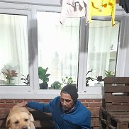 ������, 61 ���, ����������