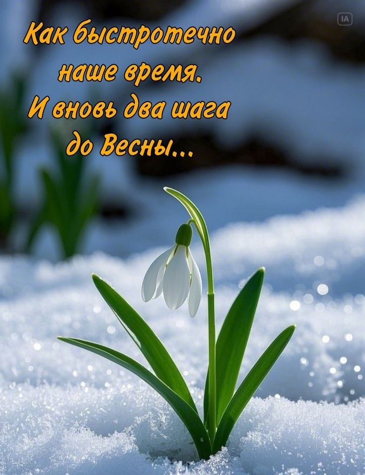 ����������� � ���������, �������� �� ������ ����. - 27 ������� 2026 � 01:42