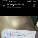 ���� �����, ������ - ��������� 2 �������� 2024 � ������ ���� ����������