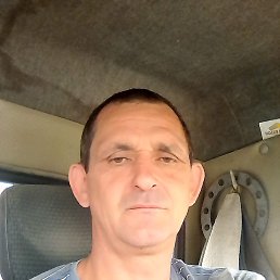 �������, 49 ���, ���������