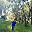 ���� ������, �����, 66 ��� - ��������� 3 ���� 2024 � ������ ���� ����������