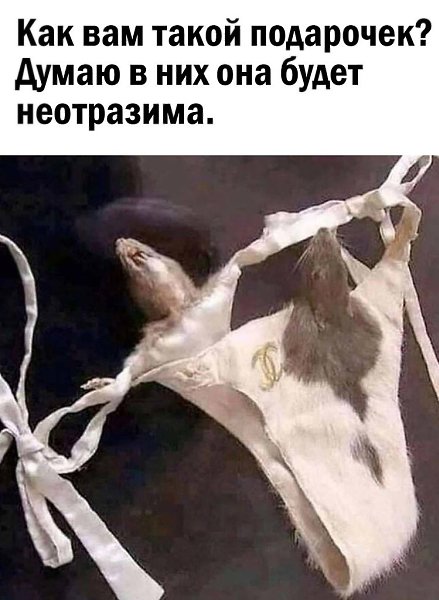   - 3