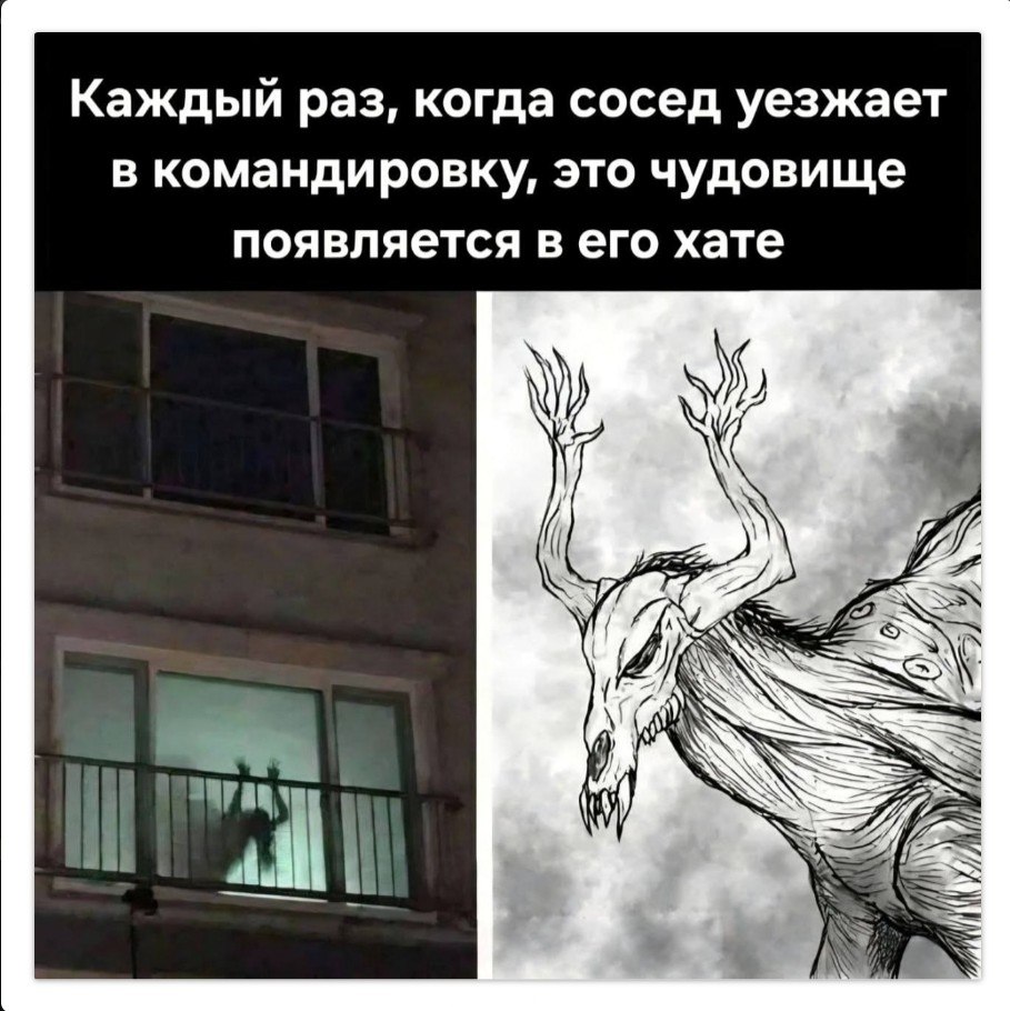 ������� - 11 ������ 2026 � 21:43