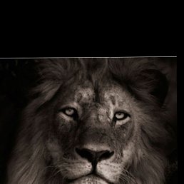 Umidjon, ������, 20 ���