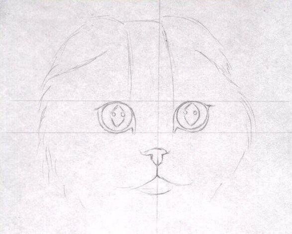 ������ ������ ������� ���������� - 2