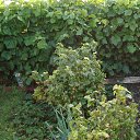 ���� �����, �������� - ��������� 26 ���� 2025 � ������ ������� 2025�