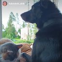 ���� ������, �����-��������� - ��������� 13 ������� 2026